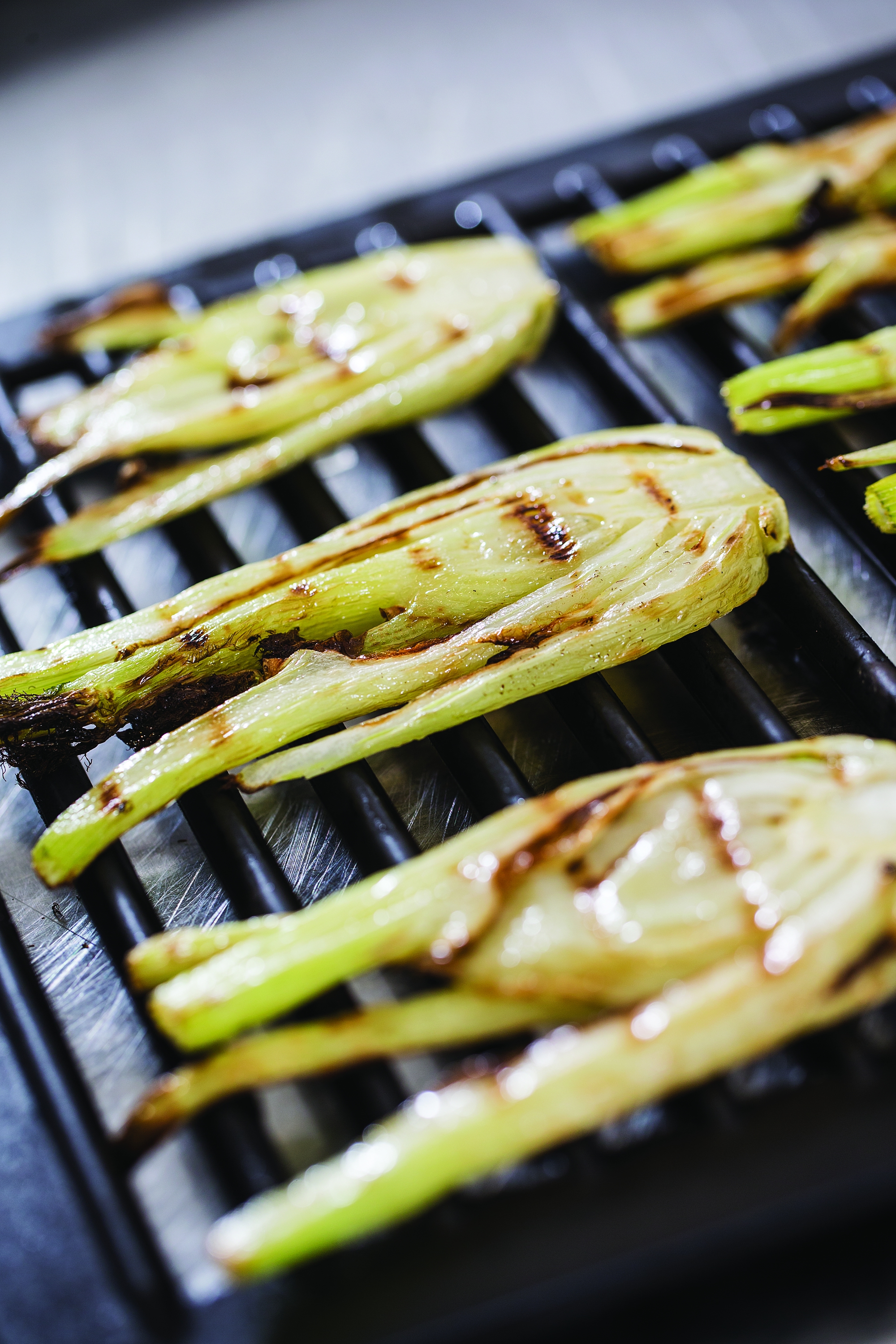 Grillede fennikel