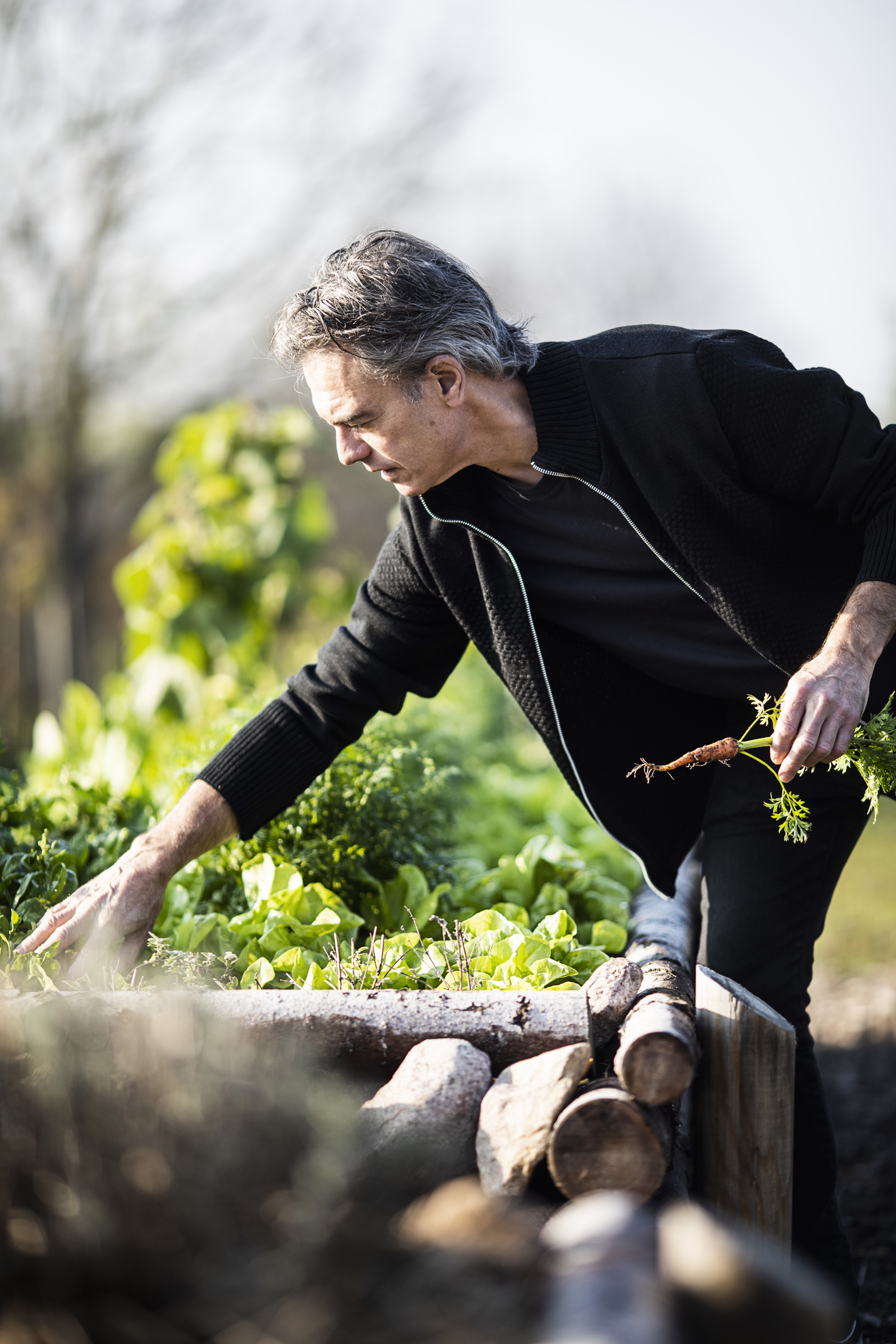 BB Francis RAISFOTO 6330