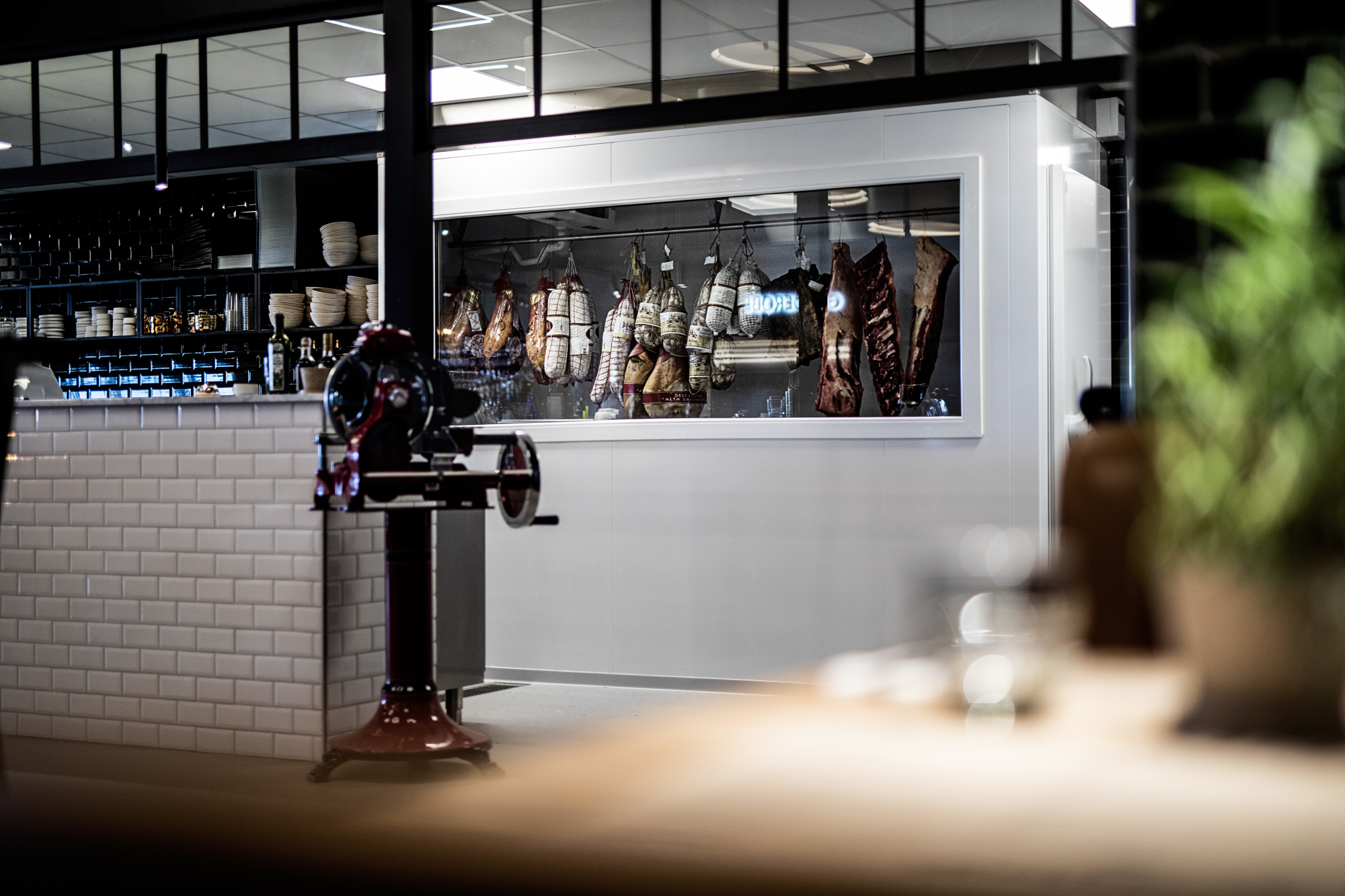 Bentbrandt Enzos RAISFOTO 6120