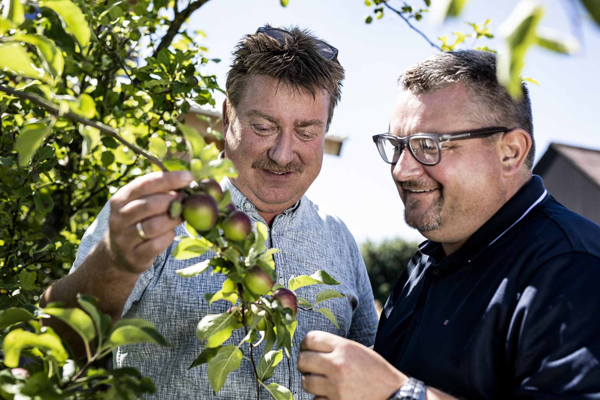 RAISFOTO Bent Brandt 8839