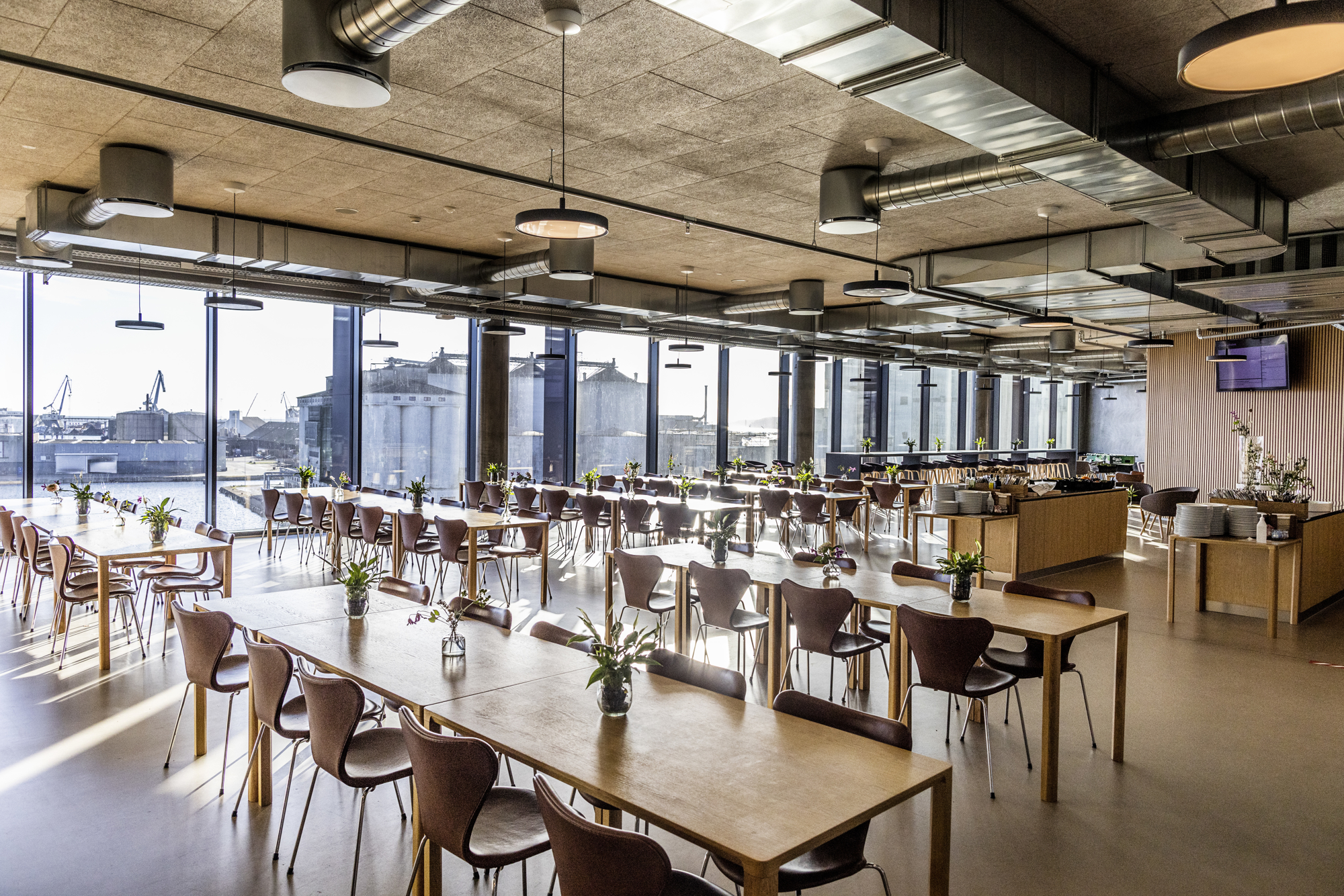 Bentbrandt JP RAISFOTO 3364