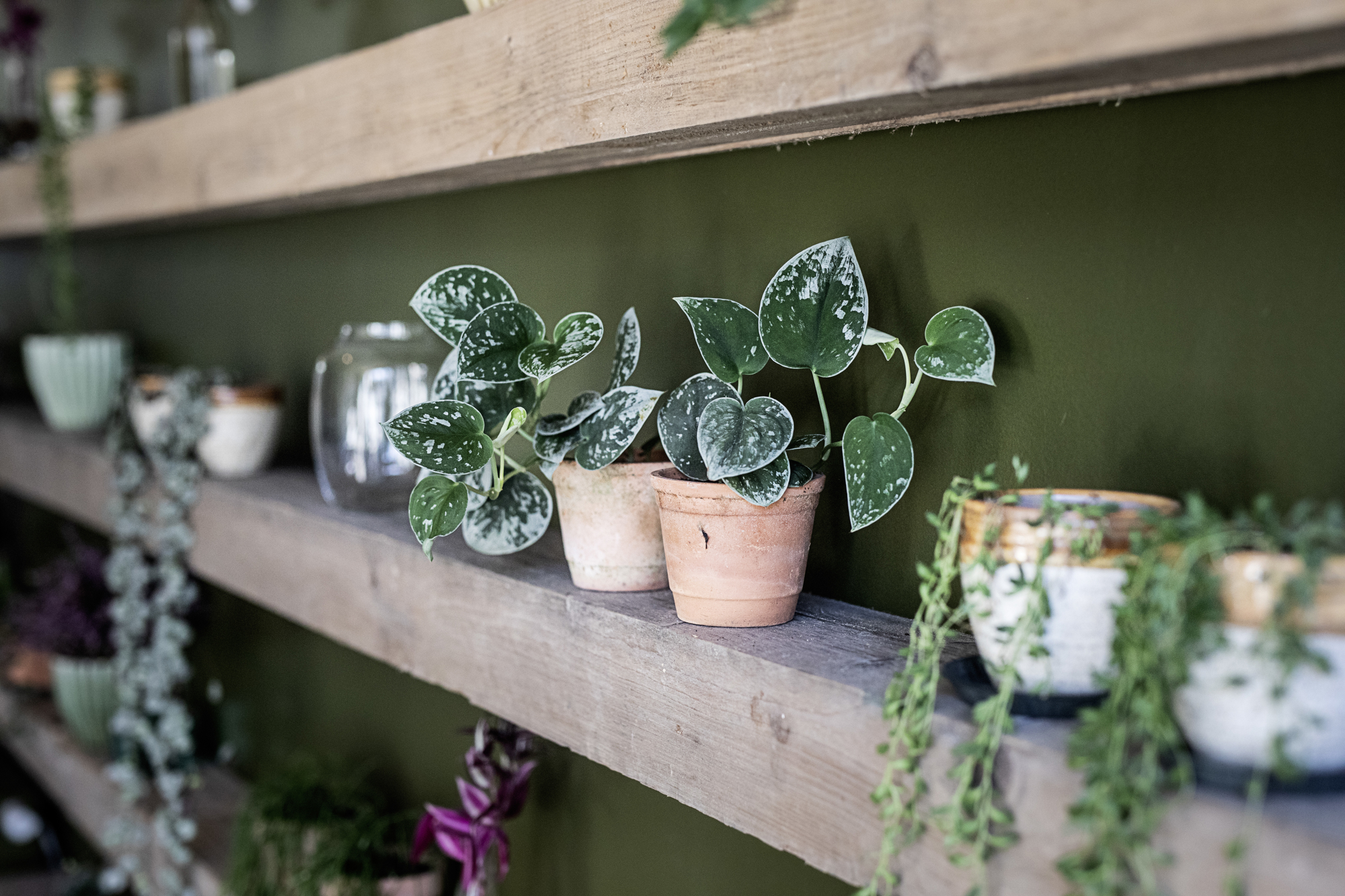 Hospice Vangen September 2019 0750