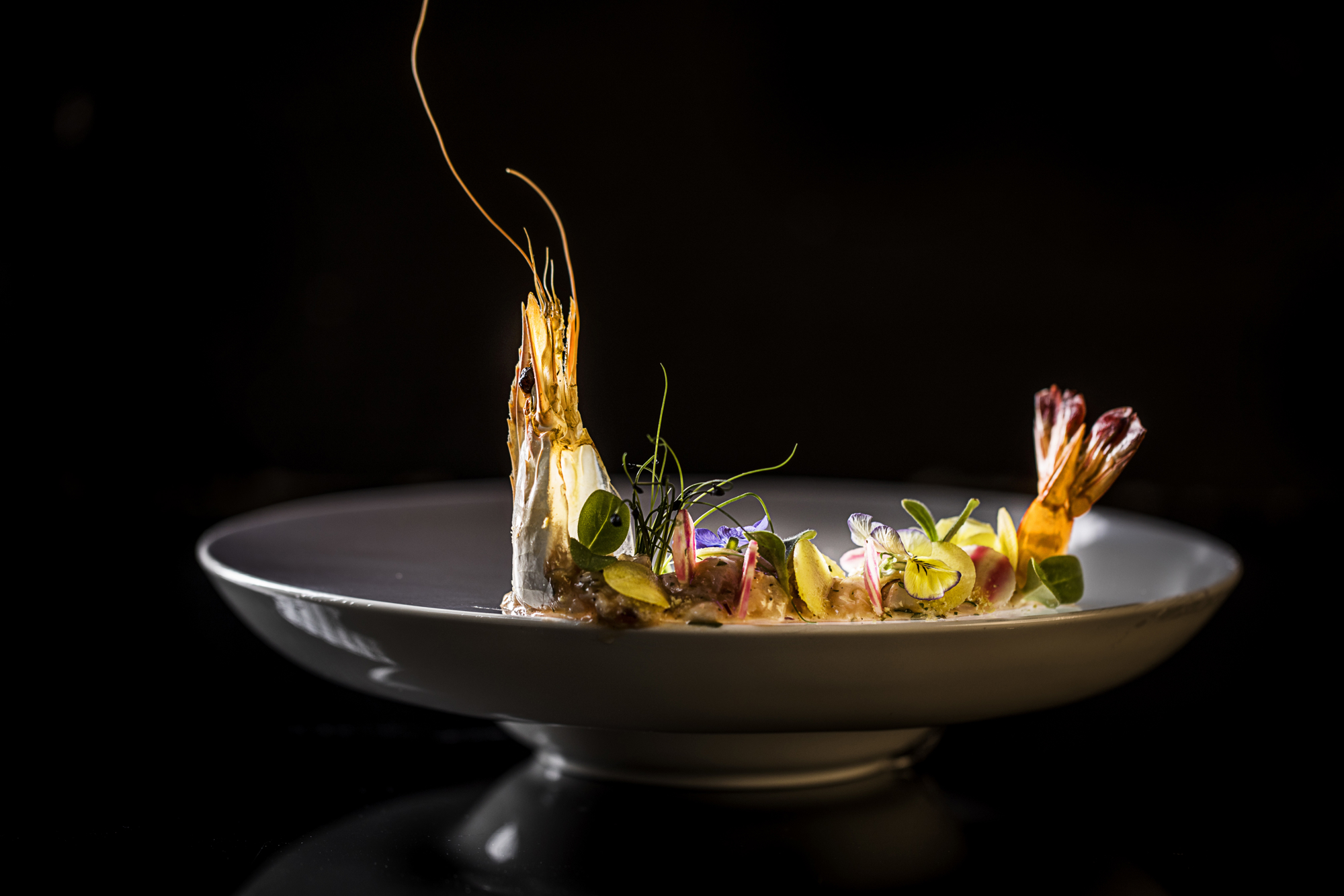 11511929 Morenamia 1