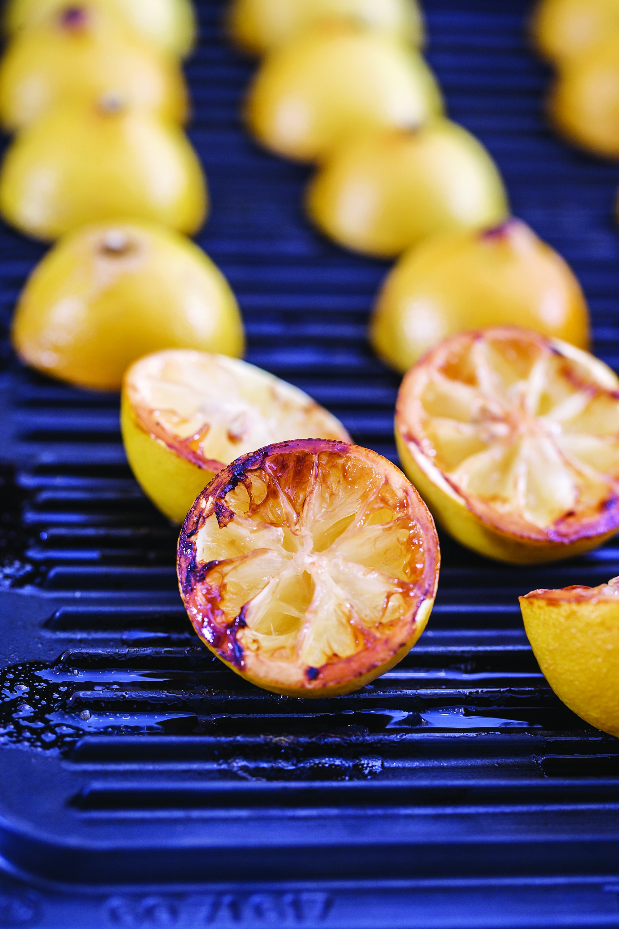 73251007 Grillede Citroner KK