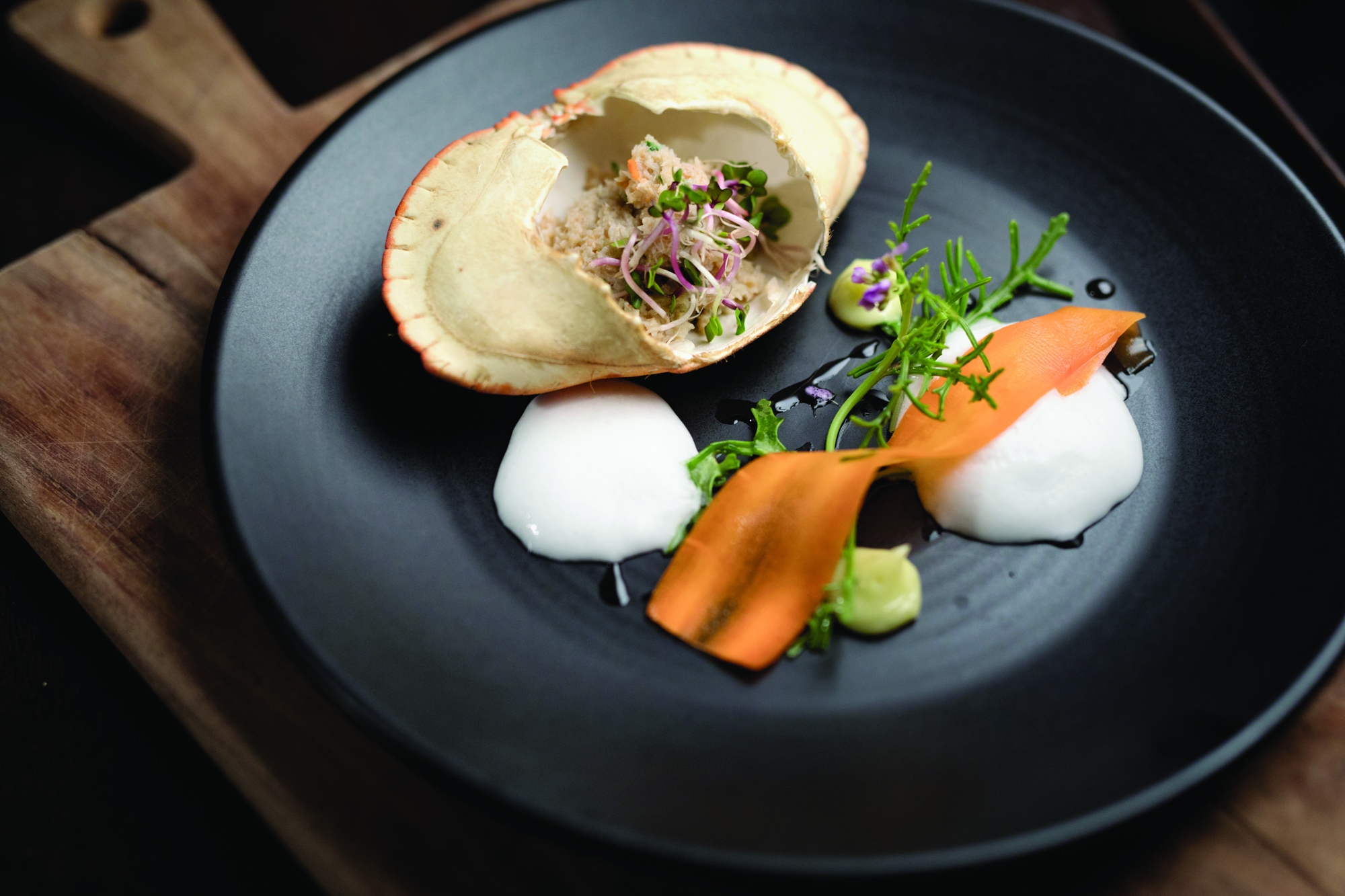 11761029 Jakobvinkler Fishadelicircus